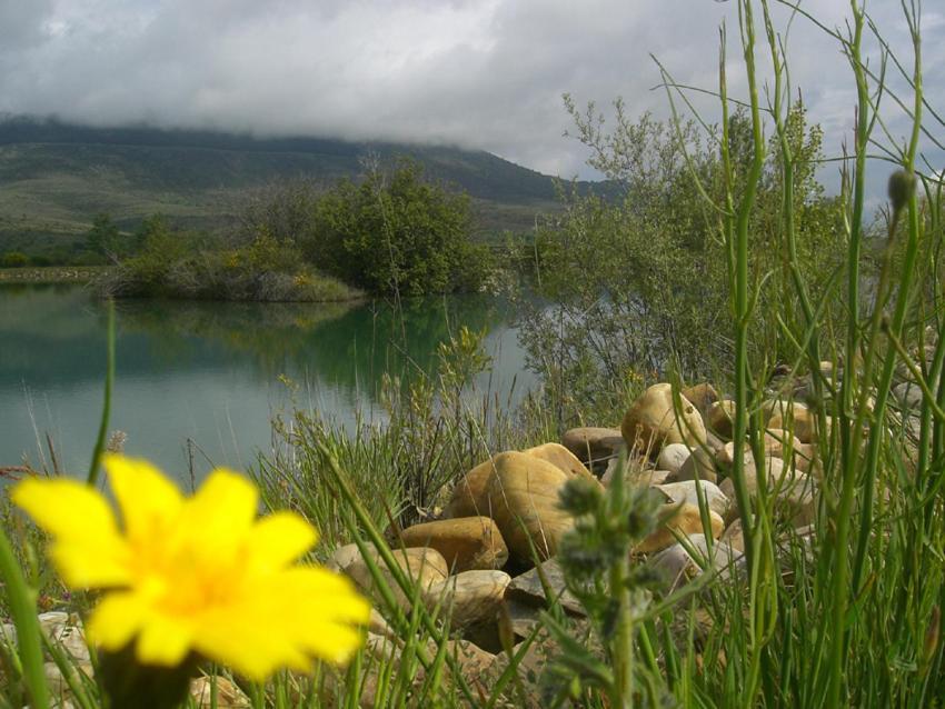 Al Viento, Alojamiento & Turismo Rural Pradena Del Rincon Bagian luar foto