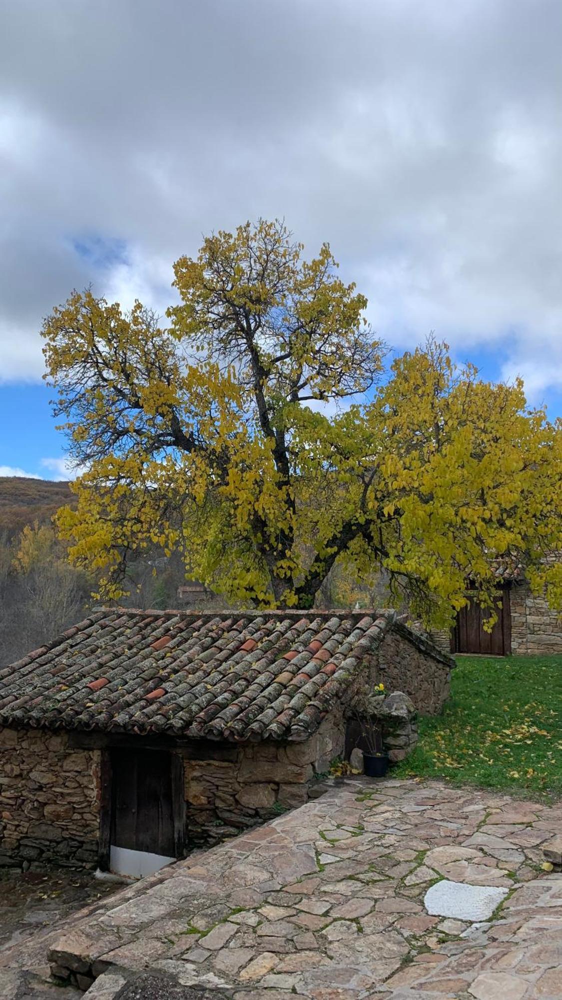 Al Viento, Alojamiento & Turismo Rural Pradena Del Rincon Bagian luar foto