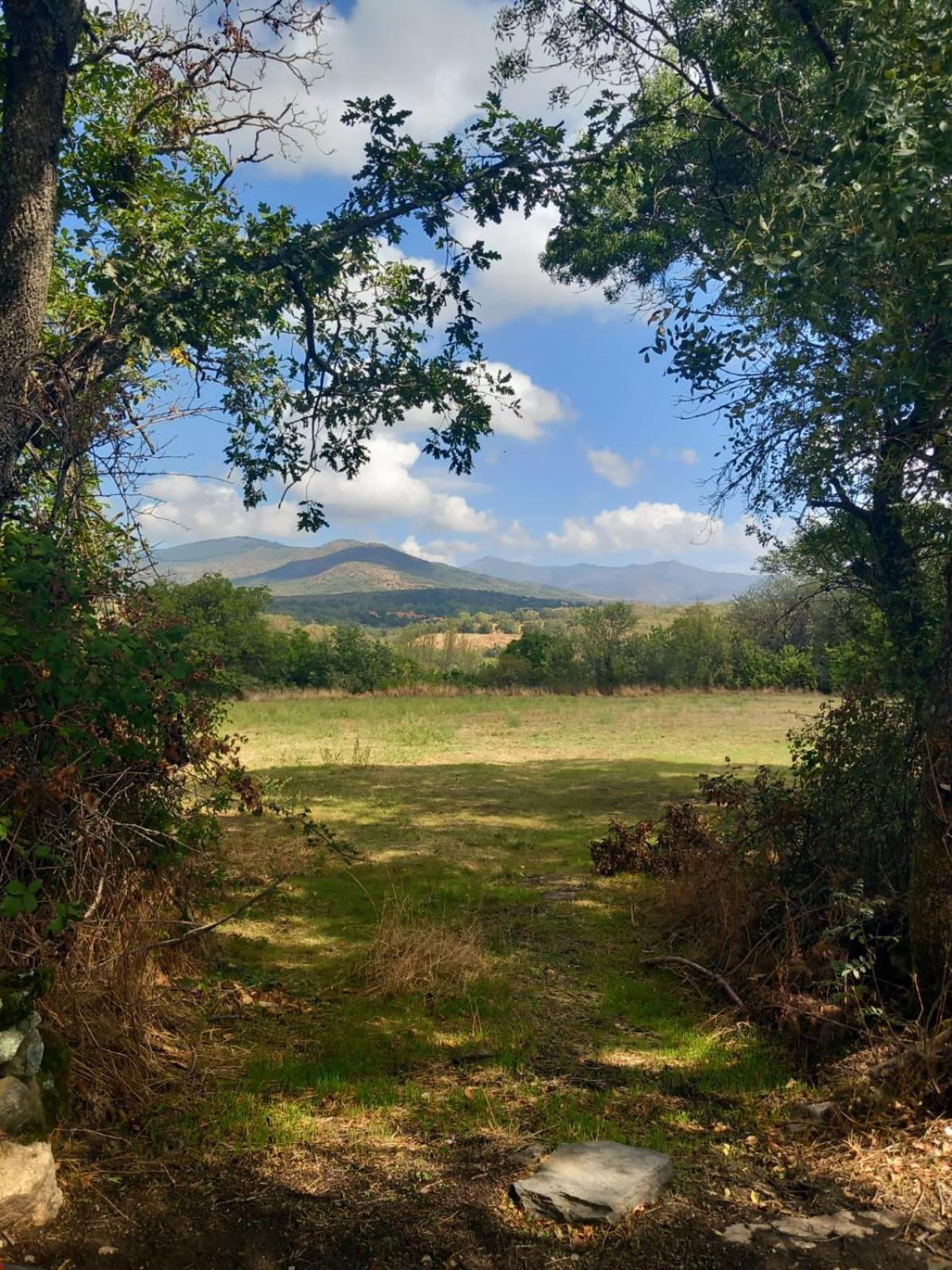 Al Viento, Alojamiento & Turismo Rural Pradena Del Rincon Bagian luar foto