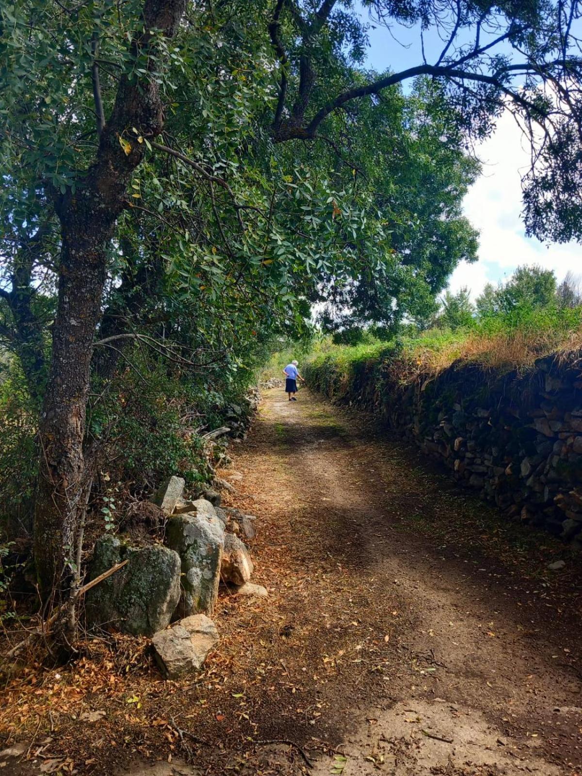 Al Viento, Alojamiento & Turismo Rural Pradena Del Rincon Bagian luar foto