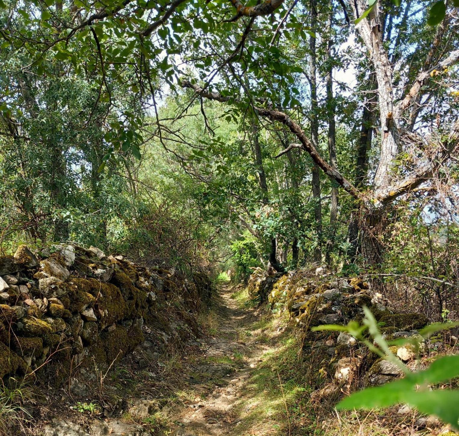 Al Viento, Alojamiento & Turismo Rural Pradena Del Rincon Bagian luar foto
