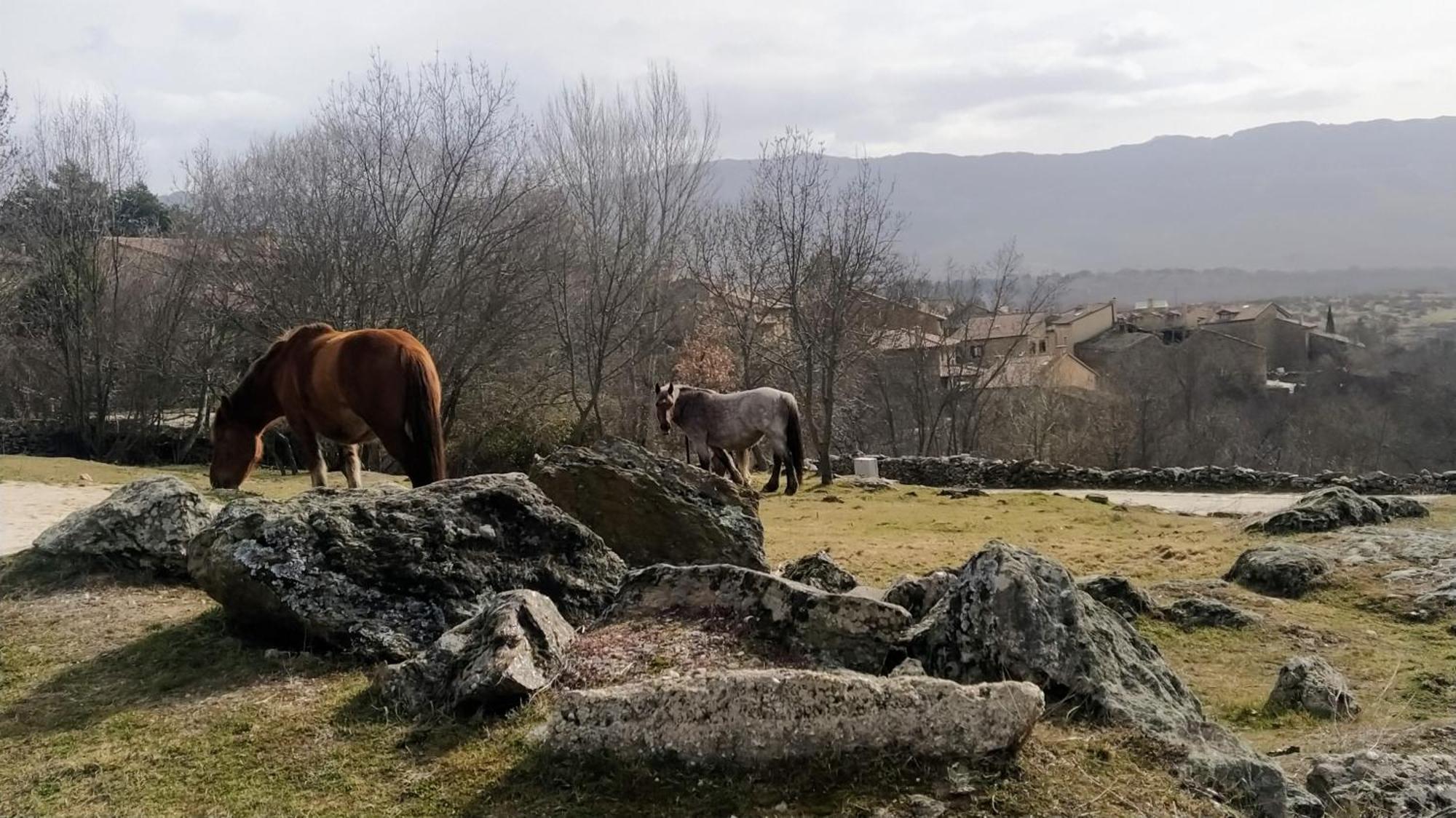 Al Viento, Alojamiento & Turismo Rural Pradena Del Rincon Bagian luar foto