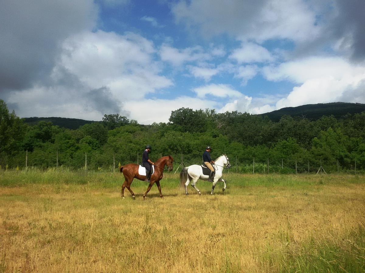 Al Viento, Alojamiento & Turismo Rural Pradena Del Rincon Bagian luar foto